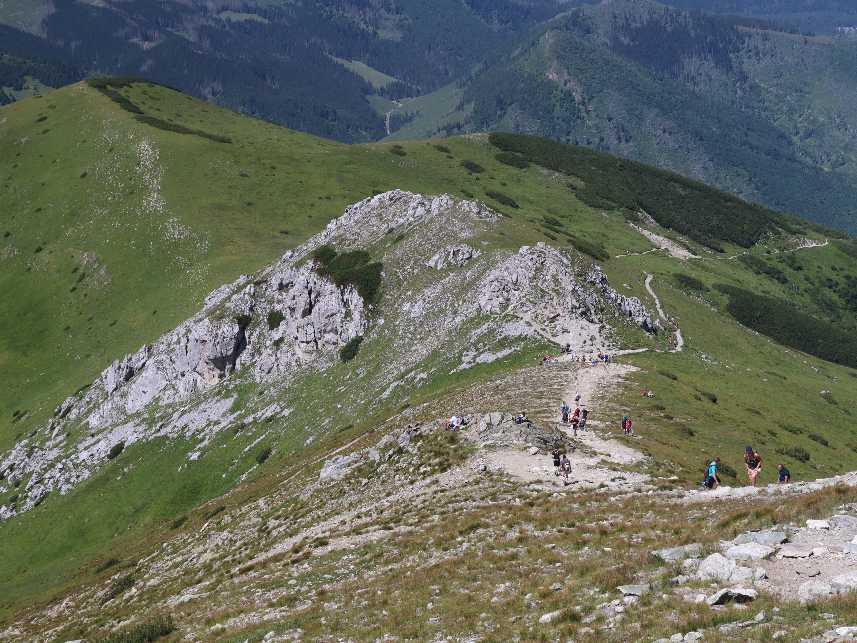 Gruppe von Menschen beim Wandern auf einem Berg mit grünem Gras und steinigem Gelände, Himmel im Hintergrund sichtbar