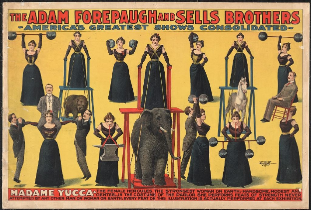 Plakat für Adam Forepaugh und Sells Brothers' America's Greatest Shows Consolidated mit einer Gruppe von Menschen auf Hockern und einem Elefanten in der Mitte, einige halten Gegenstände und Text.