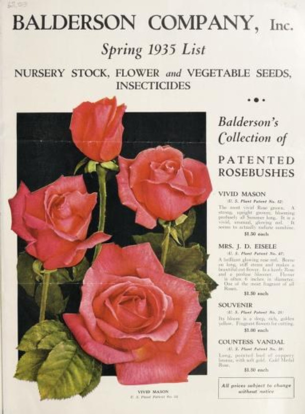 Katalog der Baldwin Company, Inc. Frühlings 1935 mit pinken Rosen und Blättern, Auflistung von Zierpflanzen, Samen und Insektiziden.