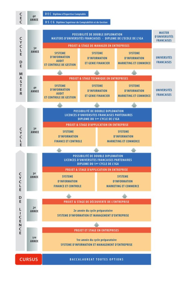 Diagramm, das die organisatorische Struktur eines Unternehmens mit interconnected boxes darstellt, die die verschiedenen Phasen des Geschäfts growth und der Entwicklung darstellen, begleitet von beschreibendem Text.