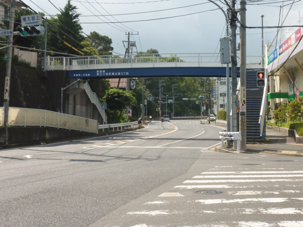 Eine Stadtstraße mit einer Fußgängerbrücke darüber, Fahrzeuge auf der Straße, Strommasten mit Drähten, Verkehrszeichen, Schilder, Gebäude mit Fenstern, Bäume und ein Himmel im Hintergrund.