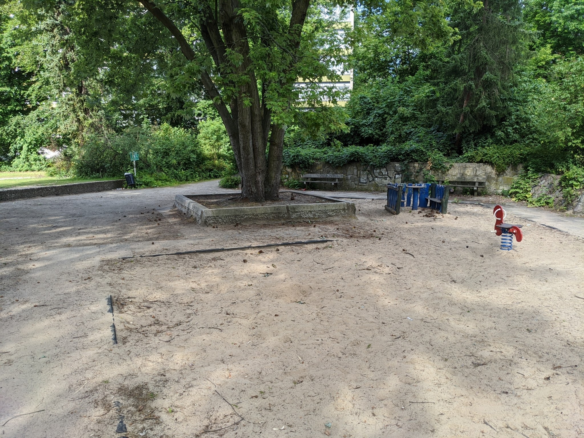Müll, Grillrückstände und Beschwerden: Wird der Mainzer Volkspark immer dreckiger?
