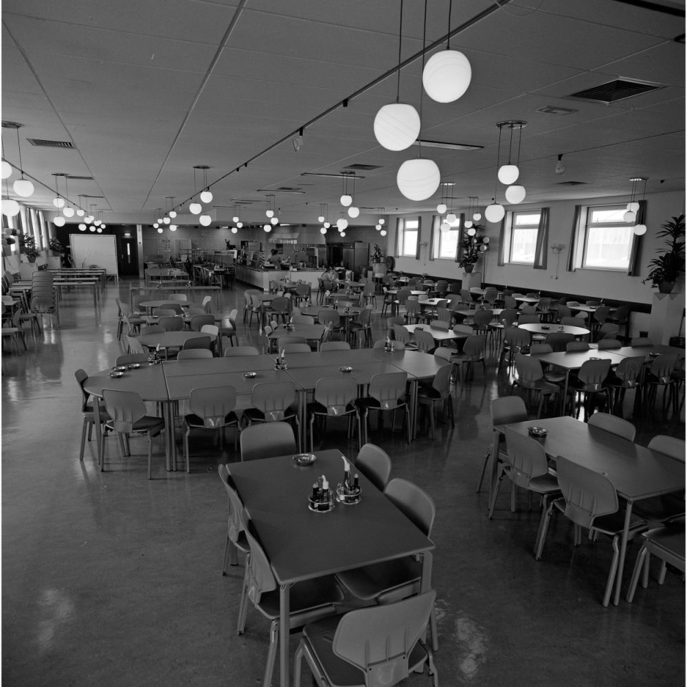 Ein geräumiger Speisesaal mit Reihen von Tischen und Stühlen, verstreuten Flaschen und Gegenständen auf den Tischen, Deckenlampen, Fenstern auf der rechten Seite und Topfpflanzen überall im Raum.