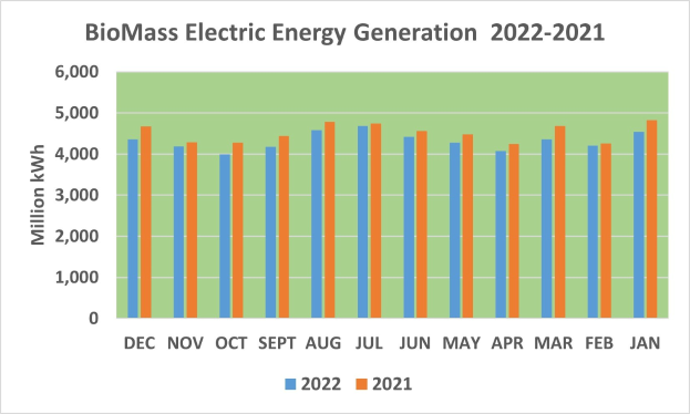 Graphik, die die Stromerzeugung aus Biomasse von 2021 bis 2022 zeigt, mit begleitendem erklärendem Text.