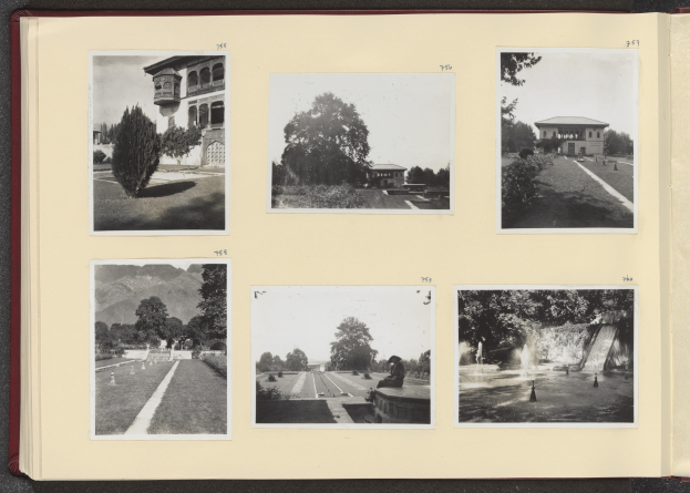 Ein Schwarz-Weiß-Kollage aus Fotos mit Bäumen in der Mitte, umgeben von Bildern von Gebäuden und einem Brunnen.