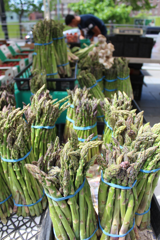 Frische Spargelbündel auf einem Bauernmarkt zum Verkauf, mit einer Person im Hintergrund zwischen Bäumen, Gebäuden und einem klaren blauen Himmel.