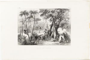 Eine Schwarz-Weiß-Zeichnung einer Gruppe von Menschen im Dschungel, mit Bäumen im Hintergrund und Text unten.