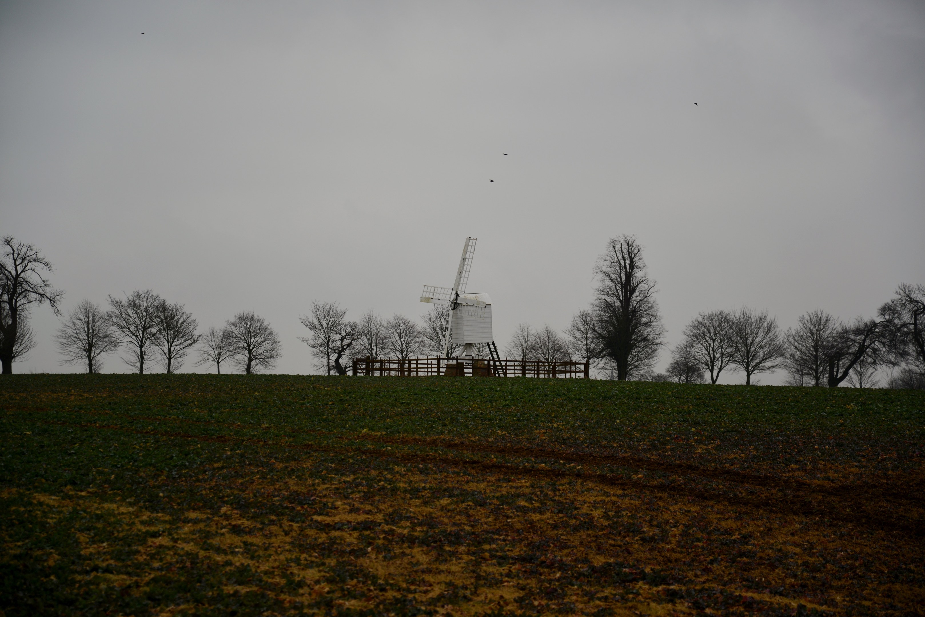 Windmühle in einem eingezäunten Feld mit Bäumen, bewölktem Himmel und fliegenden Vögeln.