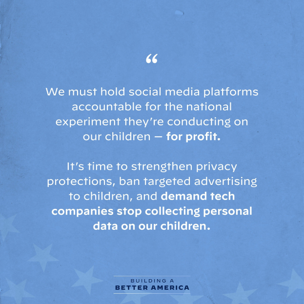 Plakat mit einem Zitat aus Building a Better America, das besagt, "Wir müssen die sozialen Medien-Plattformen für das nationale Experiment zur Rechenschaft ziehen, das sie an unseren Kindern durchführen - für Profit.", dekoriert mit Sternen.